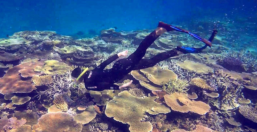 Great Barrier Reef